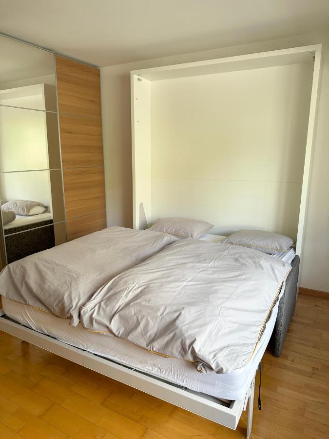 Charmant Studio Renove Situe Dans Les Bains D'Ovronnaz, Immeuble Les Sources 外观 照片